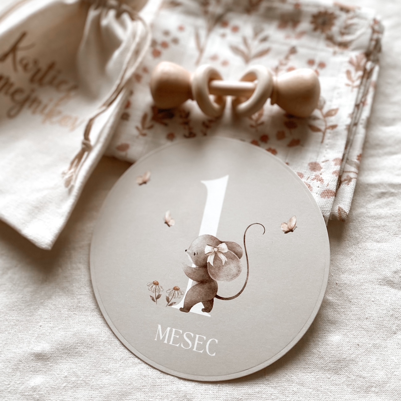 Kartice mejnikov za fotografiranje dojenčka - Miška - Vanja in lev